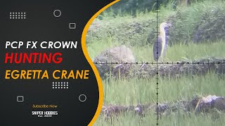 45M LUNG SHOT EGRET CRANE