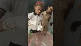 science experiments in bright future no1 play school jamalpur near Rani pokhar behind Bandhan Bank