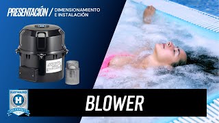 Hayward Blower: Dimensionamiento e Instalación