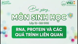 [Sinh Học HSA] - LỚP 12 - BÀI 0102 - RNA, PROTEIN VÀ CÁC QUÁ TRÌNH LIÊN QUAN | Mapstudy