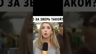 Ты кто войн🤣🤣🤣🤣🤣🤣