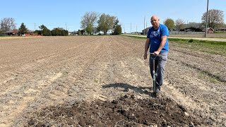 First Steps To Our Vegetable Garden