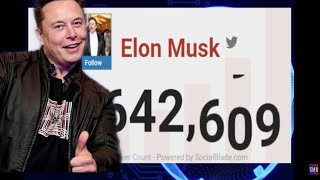 Elon Musk Growing Fast On Twitter Timelapse!