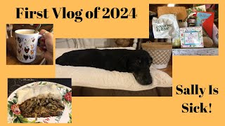 First Vlog of 2024 ~Sally Is Sick!~ #vlogs