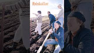 Húskallar - Stubbar