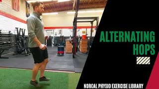 Alternating Hops **NorCal Physiotherapy Exercise Library