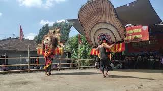 Dadak Merak beraksi di Tegalsari.