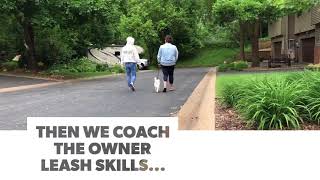 1:1 leash manners | Funtastic K9 Training