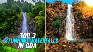 Top 3 stunning waterfalls of goa || popular waterfalls of goa || goa  beyond beaches