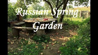 Russian Spring Garden