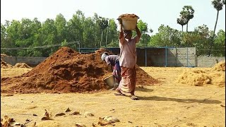 La poussière de la fibre de coco (Résumé)