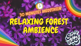 Fantasy Forest Ambience | Village Ambience | Forest Ambience | Forest Sounds Woodland Ambience