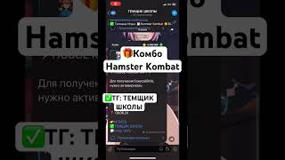 🎁КОМБО HAMSTER KOMBAT🎁 #Hamster #HamsterKombat #Хамстер #ХамстерКомбат #комбо