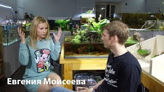 Евгения Моисеева о Питерских акваскейперах, школе аквадизайна и московской птичке