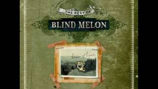 Blind Melon Dear MR. Fantasy