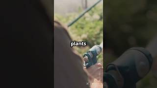 Energy drink in plants?🍺