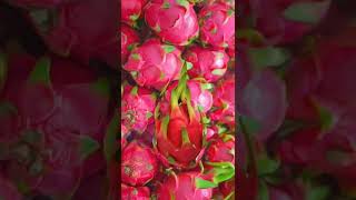 MOTHER DRAGON FRUIT #shorts #viral #trending #mother