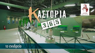 Καστοριά 365 | Το ενυδρείο 4K