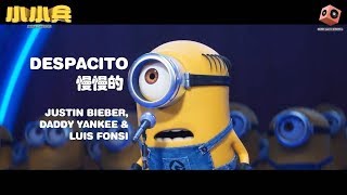 Despacito - Minion版 MV