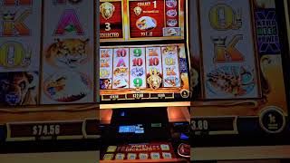 Late Night Live Stream Casino Slot Couple