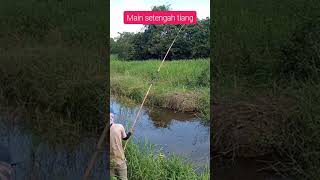 Main setengah tiang di air jernih #getek #fishing #mancinggabus