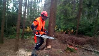 STIHL ms261