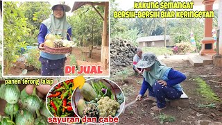 Berkebun di bantuin kakung || panenan masih ada buat masak dan di jual ⁉️