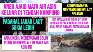 KONON JIKA MATA AIR INI TIDAK  ditutup dengan kepala kerbau bule, maka area ini akan menjadi lautan