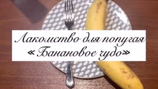 Лакомство для попугая «Банановое чудо» | Рецепт приготовления |