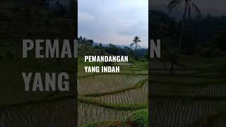 SUNGGUH INDAH Pemandangan Alam Jawa barat