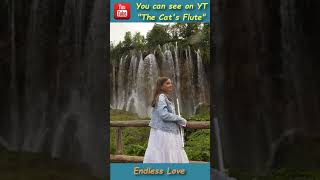 美麗的神話 - 成龍 Endless Love @thecatsflute  #thecatsflute #july2023 #shorts