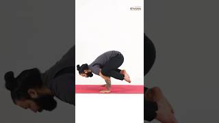 How to Practice Crow Pose. #crowpose #kakasana