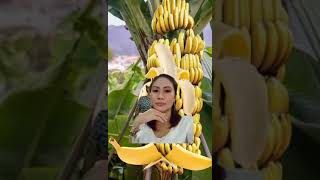 Wow Banana ripe #amazing #funnyvideo #trending #funplay #fyp #shorts