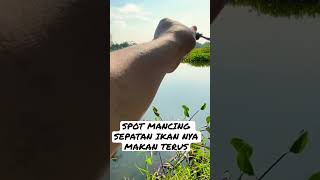 SPOT MANCING GRATIS SPATAN IKAN NYA NARIK MULU #mancingdidanau #mancingmania #tanagofishing #tiemco