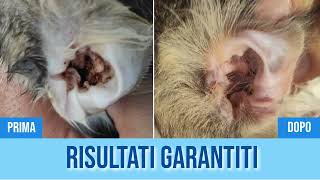 Otorì è qui! Detergente auricolare risolutivo per cani e gatti.