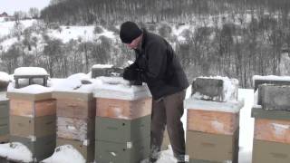 Winter Honeybee Hive Check