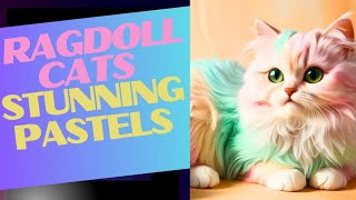 Unveiling the Most Stunning Fantasy Ragdoll Cats 🐾