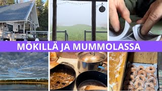 SYYSLOMA ALKOI 🍂 MÖKILLÄ JA MUMMOLASSA ❤️