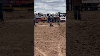 My catch on this goat was 👩‍🍳💋 #sheridanlostroh #lilfreckilbe #goattying #rodeo #equine