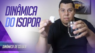 ISOPOR (PROFUNDIDADE) - DINÂMICAS | QUEBRA GELO PARA CÉLULAS