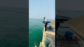 Wow menarik ikan besar #fishing #predatorrawa #bassfishing #mancingrawa #vidioshort #shortvideo