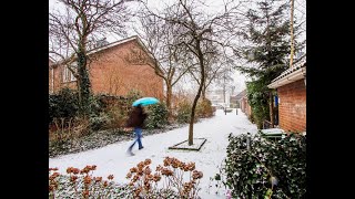 Castricumsneeuwjanuari1