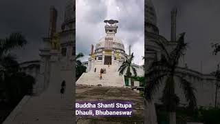 Exclusive Buddha Shanti Stupa Dhauligiri Bhubaneswar #shorts #short