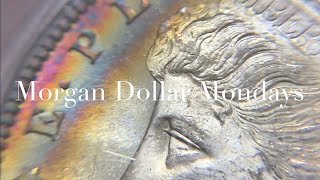 1880 SAN FRANCISCO - PROOF-LIKE or DMPL - “MORGAN DOLLAR MONDAYS” WITH MASSABESIC GOLD and SILVER