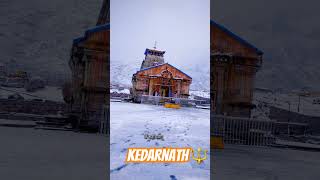 #kedarnath #kedarnathtemple #kedarnathstatus #kedarnathdham #kedarnathyatra #mahakaleshwarujjain