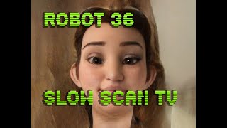 0119 Toonify SSTV Robot36