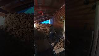 Stacking firewood for Winter 7/11/24