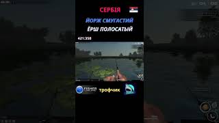 Fisher Online - Сербія Йорж Смугастий (Ёрш Полосатый) троф