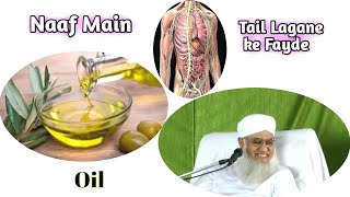 Naf Mai Teal (Oil) Lagane ke Fayde (Benefit) | Maulana Sajjad Nomani | As Salam Channel |