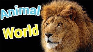 Unit 15 - Talking about the animal world - questions about feelings, opinions, or information| IELTS